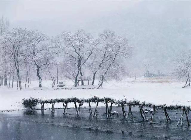 落雪成诗