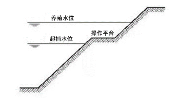 高产稻虾塘如何正确选址与开挖【多图】