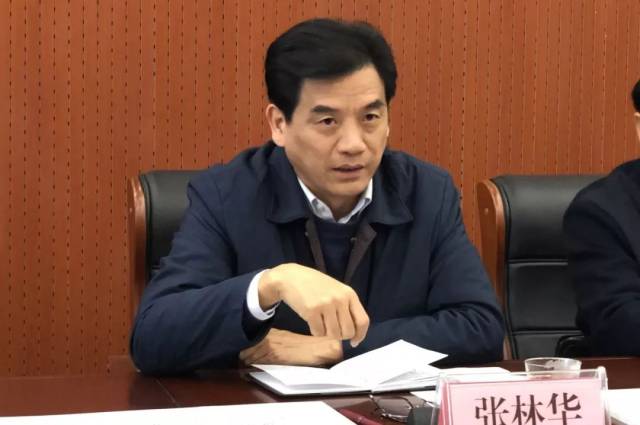 张林华调研三桥集镇改造