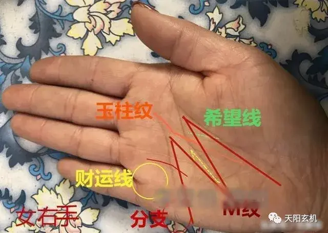 第二,明堂出现口字型财库纹