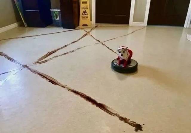 ڸݳղ䣡ҲϹЯӢˣ˿