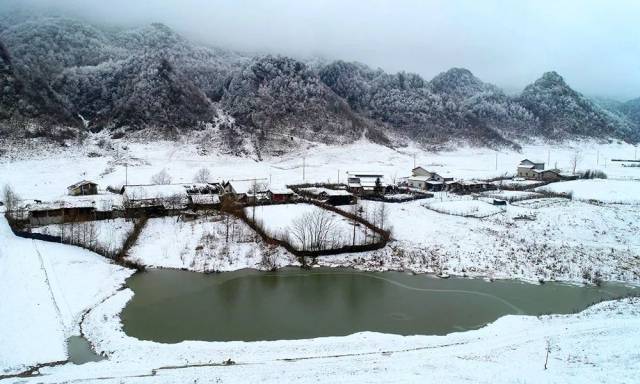 前段时间,重庆巫溪红池坝披上了白色外衣,雪白的外衣和绿水互相映衬