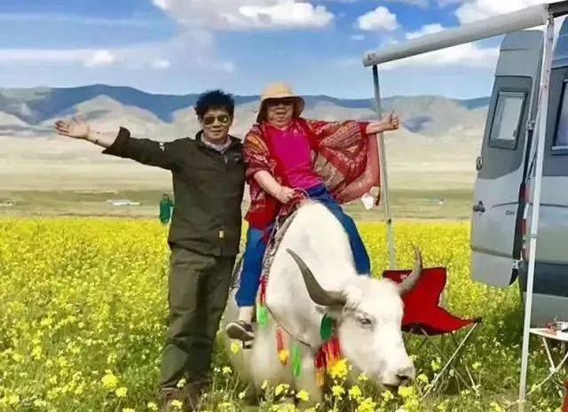 ԸҲů棡̬ʧSF캼ȫʹһˣ