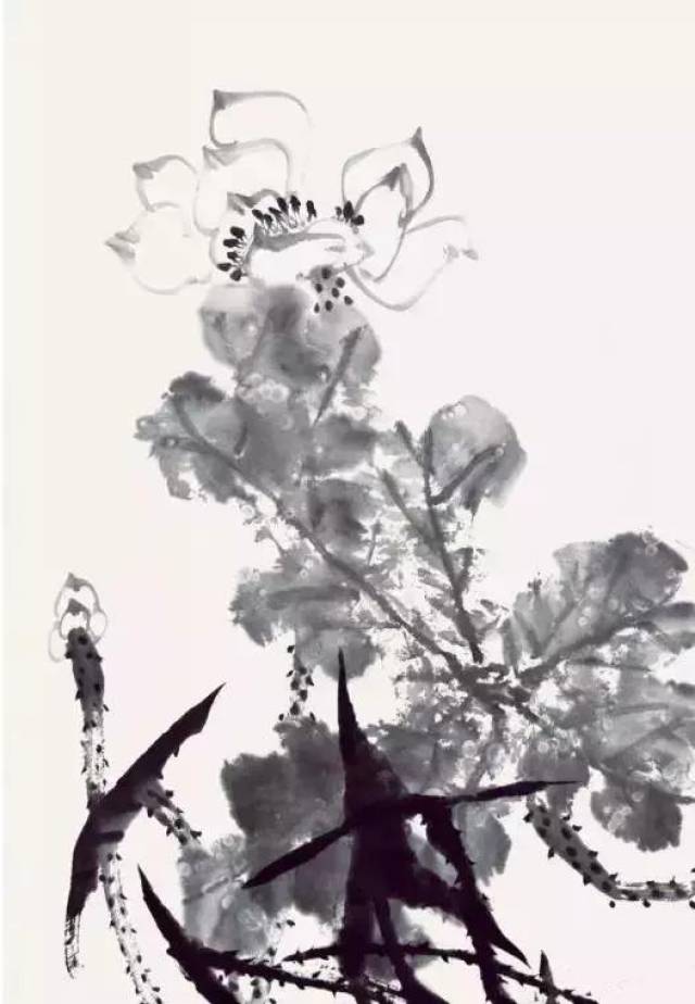 贾宝珉花鸟画教学——荷花的画法