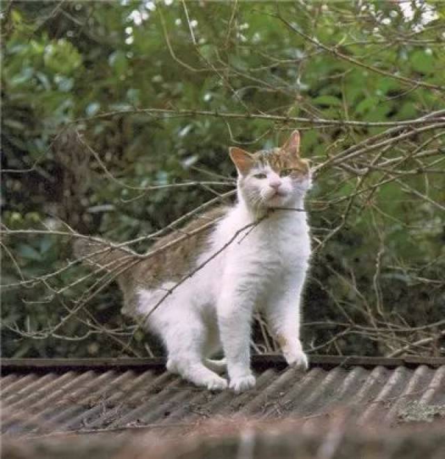 呃,被命运扼住了咽喉