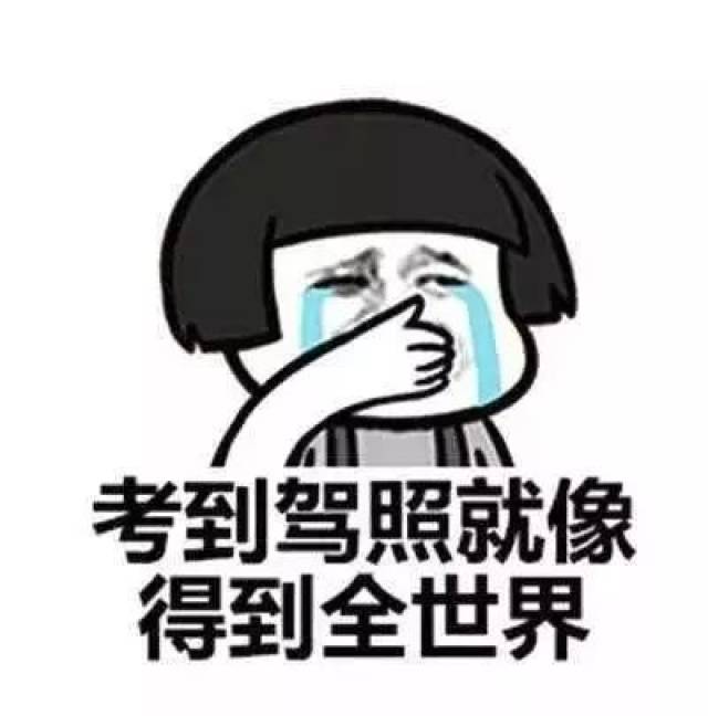 科目一(理论考试)通过后,算是正式进入了驾照考试的程序, 驾照考试的