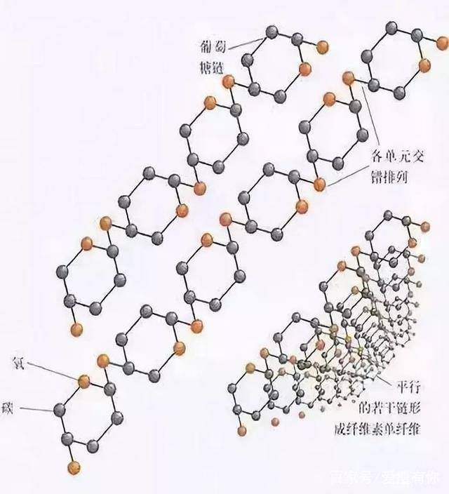 减肥降血脂的正确方法 70718905dcda428fbc9215b194c890f1.jpeg