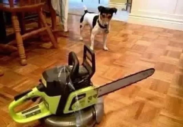 ڸݳղ䣡ҲϹЯӢˣ˿