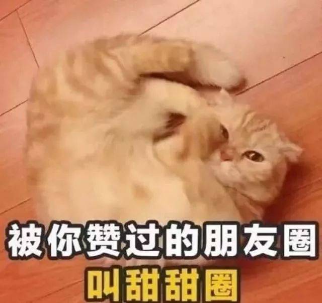 全新发布,2018十大网络流行语,锦鲤第一没跑了……