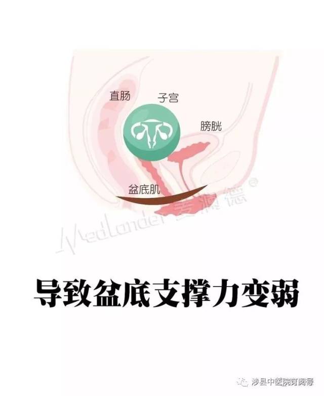 产后进行盆底筛查会发现很多女性盆底肌肉缺乏力量即使用力收缩肌电