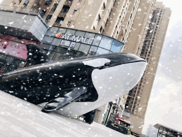 明天起,深圳要下雪雪雪雪雪了?持续到元旦!