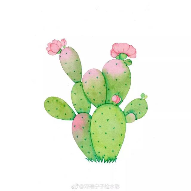 ˮʼʻ | ͸һ