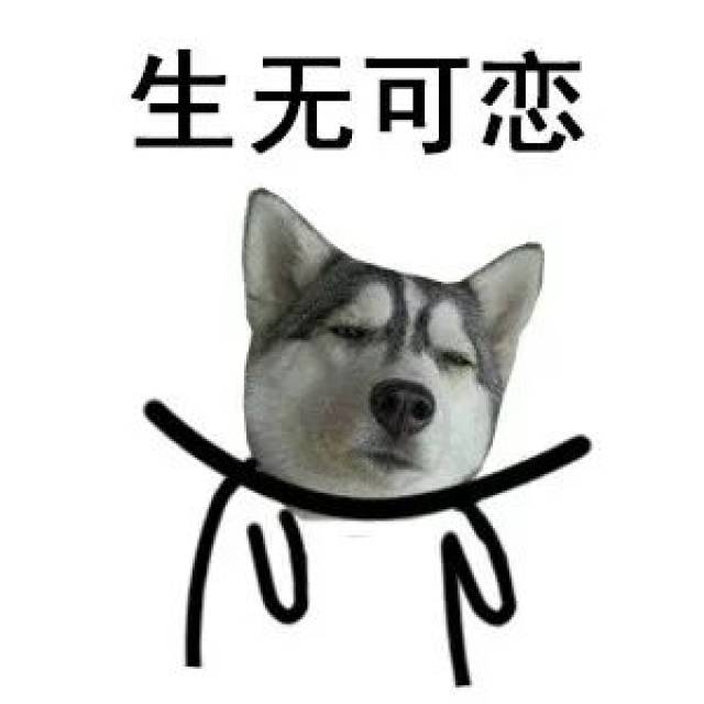 317e5e8d97804ab7a4cf227609302977.jpeg
