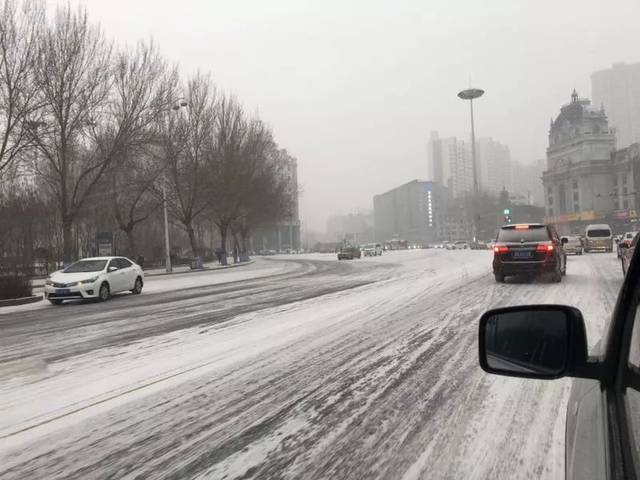 哈市大雪突袭,道路结冰,部分高速封闭!这才是哈尔滨应该有的样子!