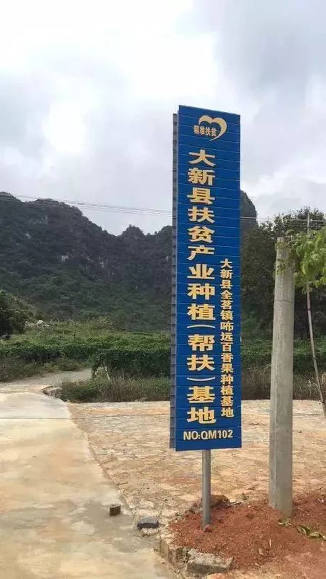 咘远是大新县扶贫产业种植(帮扶)基地之一