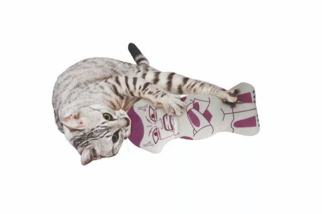 鸡应该怎么穿裤子?奥数级难题!