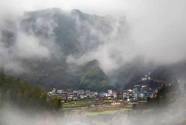 在兴墩村会忘却时间,农舍草棚,甚至田野一条小径,都让人留恋忘返.