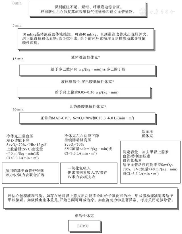 2014版美国重症医学会(accm)儿童和新生儿脓毒性休克血流动力学支持