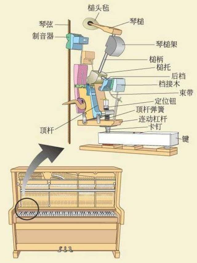 以立式钢琴为例,下图是立式钢琴键盘机械系统,也是最容易出问题的地方