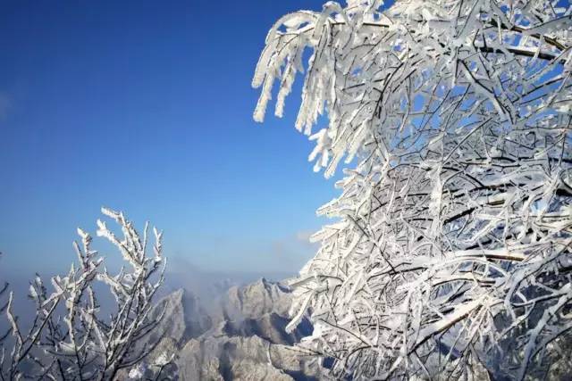 赏冰挂雾凇览高山风光桂林双动三日游