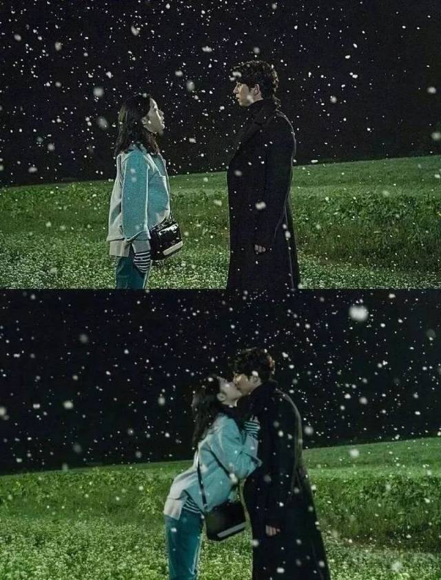 2019,等一个人,陪我去看雪