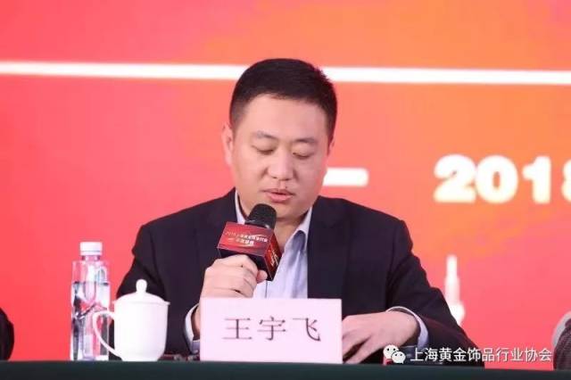 副会长王宇飞汇报协会2018年度工作总结及2019年度工作计划副会长傅兆