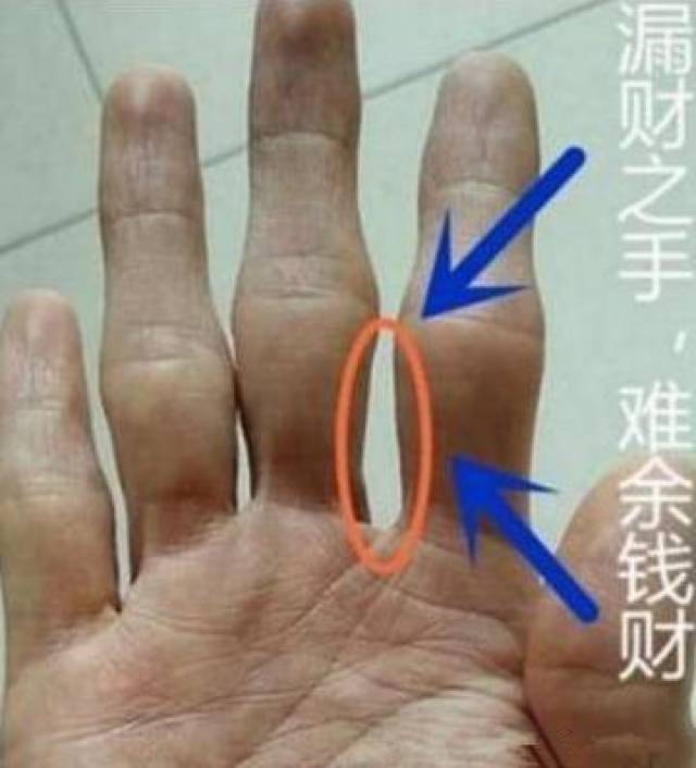 手相:人穷手也薄,人福手有肉,看看你是穷还是富?