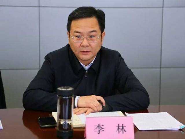 常州市副市长,武进区委书记李林带队调研礼嘉镇工作