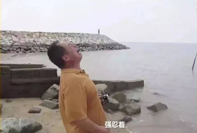数着日子过日子,用尽思念去思念,这是她的2018年.