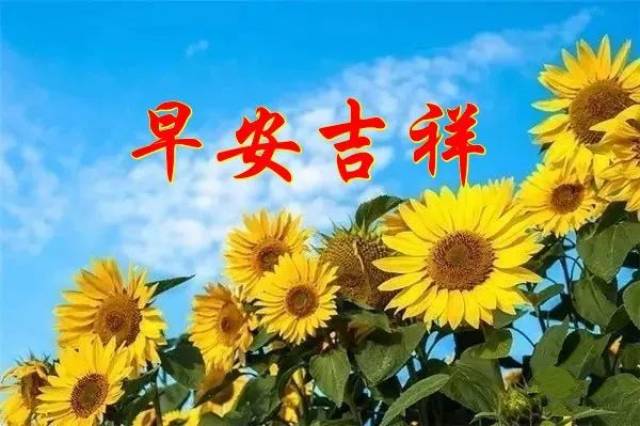 ĩ糿ʺ򶯻ͼƬ ĩ簲ף
