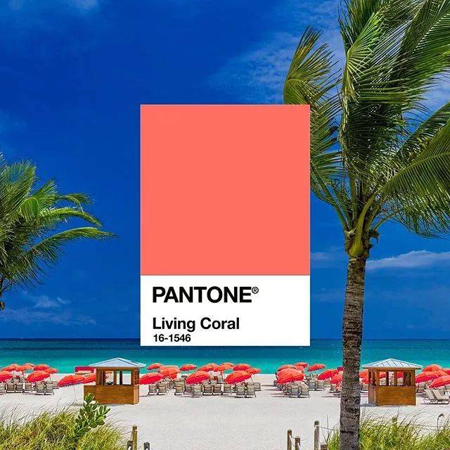 pantone2020年度流行色,2021年pantone流行色 pantone公布来年流行色的时候了!