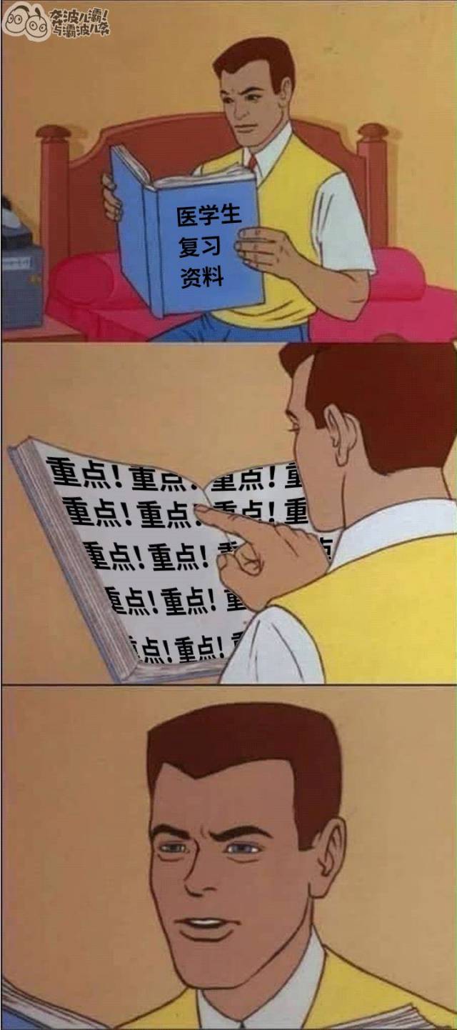 我给你划重点表情包