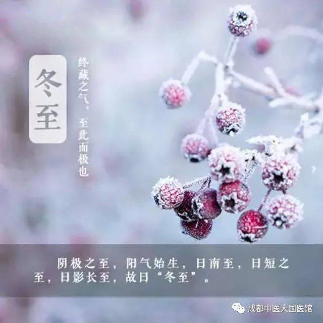 将迎来今年的最后一个节气 —— 冬至