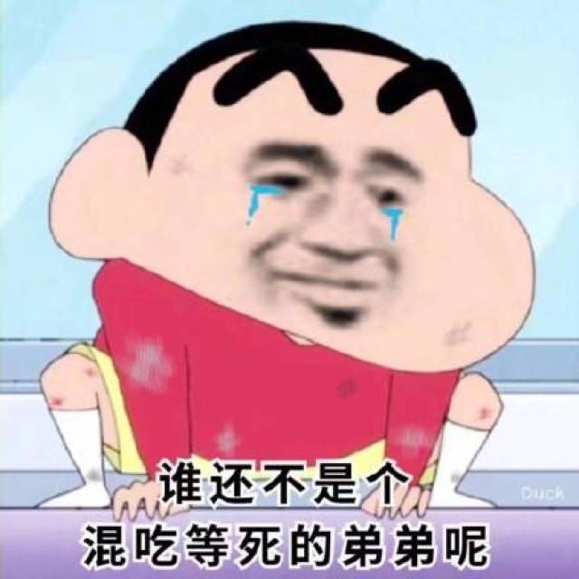 蜡笔小新表情包:我是你的小可爱吗