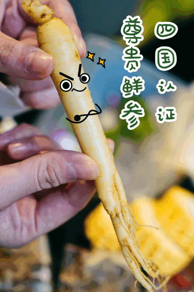 别再聊