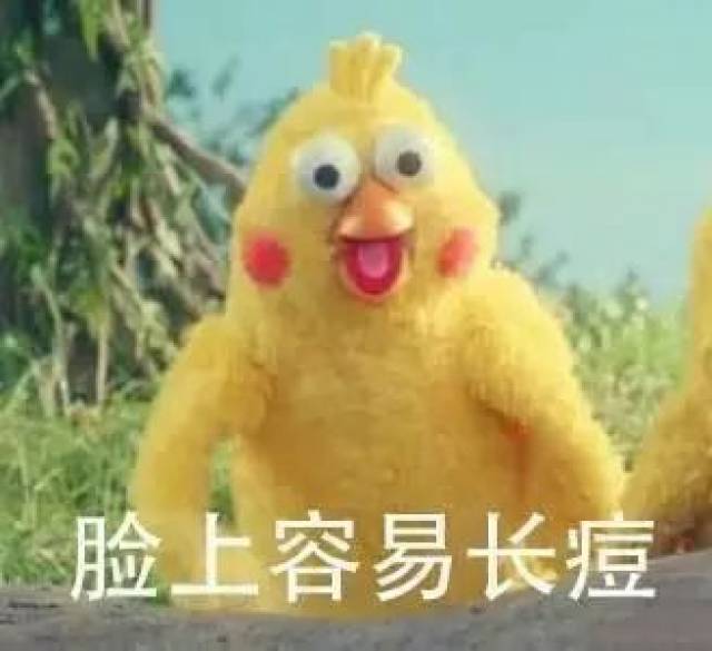表情包:鹦鹉兄弟,谁说成人的世界没有容易二字