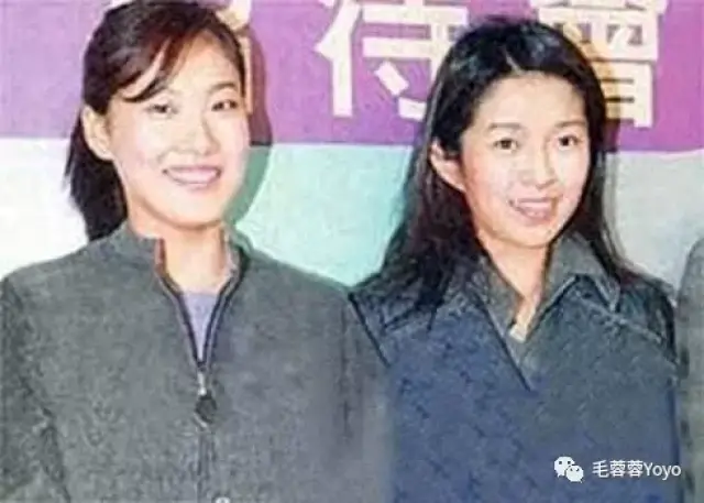 伏明霞惊爆离婚 当年和梁锦松交往时男方未离婚 男方也和陈慧珊发