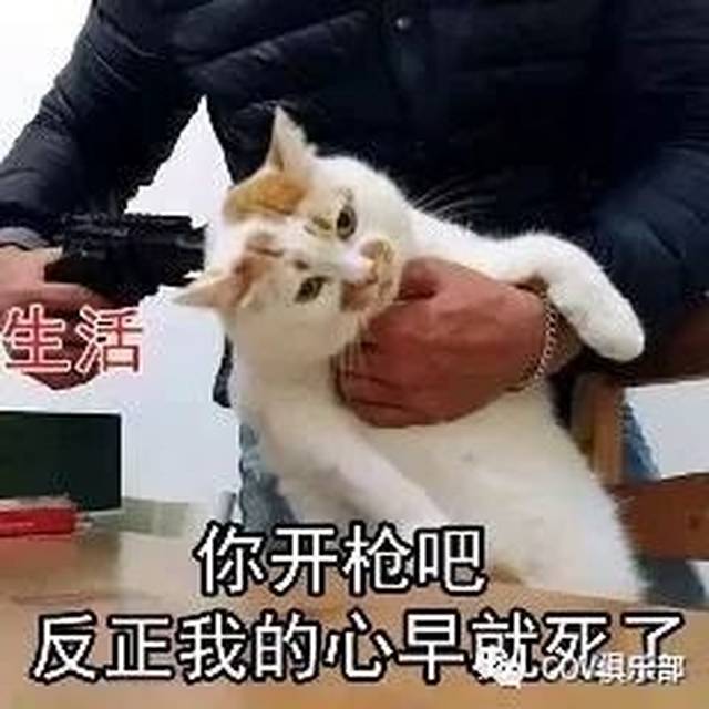 2018年度十大沙雕/流行/神经病榜单,笑得我想上太空!