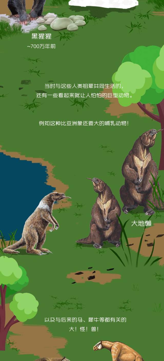 地球极简进化史:跨越40亿年的生命史诗