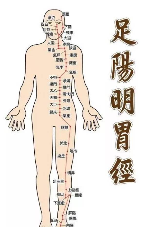 头面部为诸阳之会,诸阳经皆上于面部,尤其是足阳明胃经,多气多血,行于