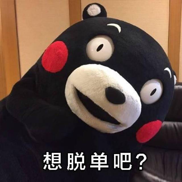 熊本熊表情包:我们一起穿秋裤吧