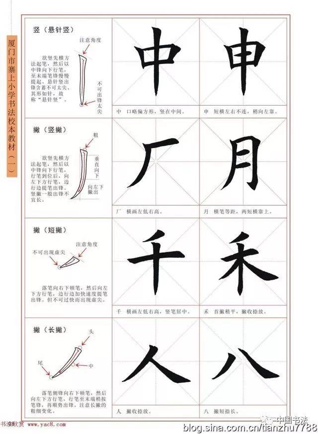 0基础学书!《毛笔楷书入门教程》(基本笔画)让你学书事半功倍