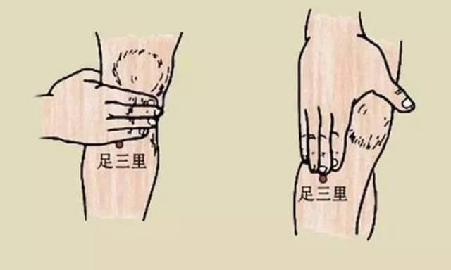 按摩足三里穴位,可以促进全身的血液循环,通畅经络,达到有效改善月经