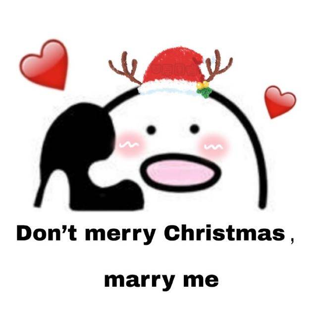 圣诞节表情包:don"t merry christmas,marry m