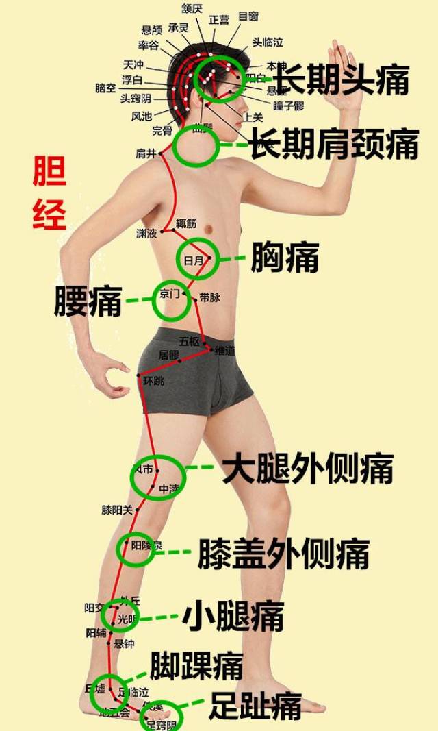 所以,当我们身体上某些部位出现疼痛,我们不妨试试拍打相对应的位置