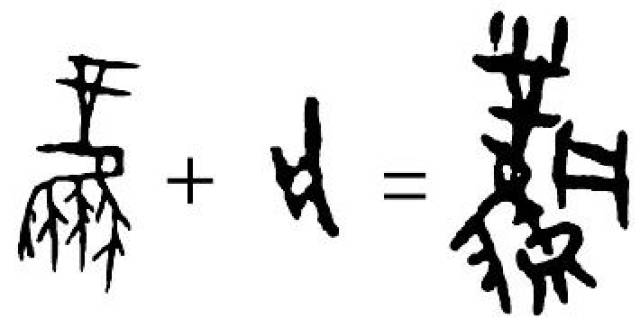 除了假借,在甲骨文中还出现了另一种造字方法,就是用一个符号表示这个