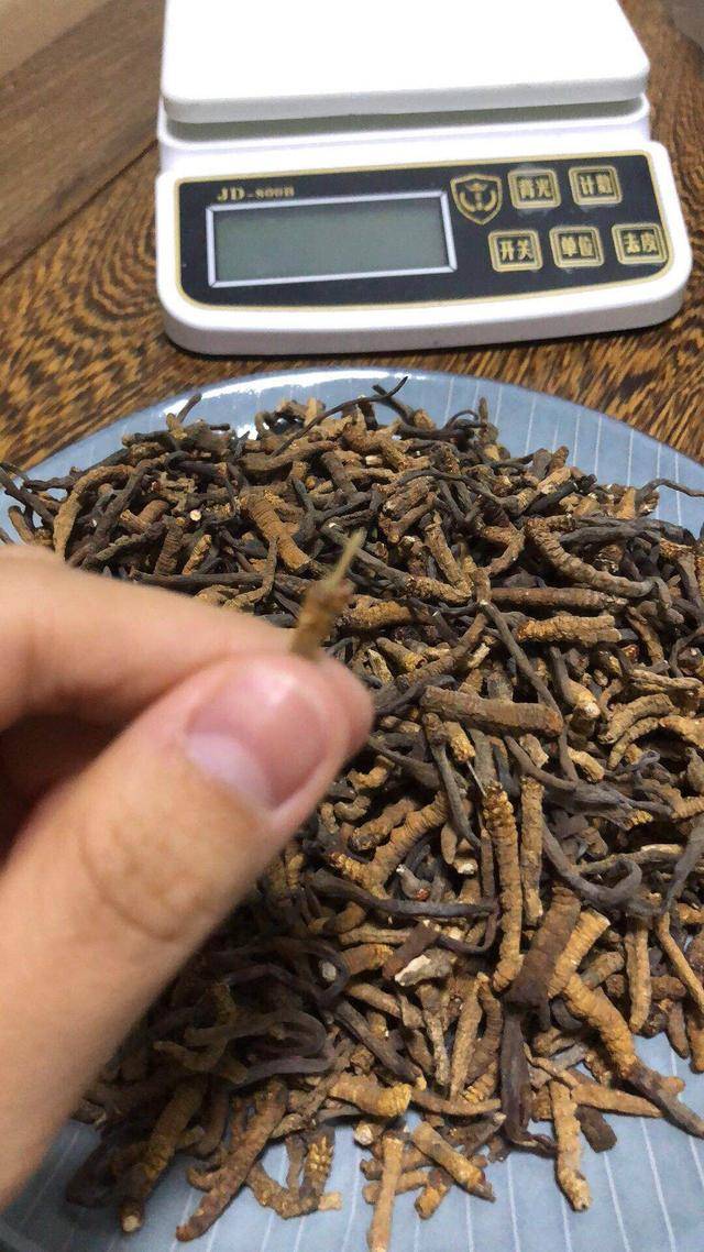 长霉了能吃吗,发霉后的冬虫夏草图片样子