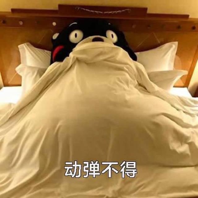 熊本熊表情包只想在床上躺到地老天荒