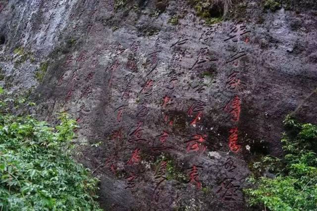 多读茶诗丨陆廷灿《武夷茶》