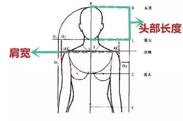 如何看身材比例 f5262703e45b4b569cddc80f41775a63.jpeg